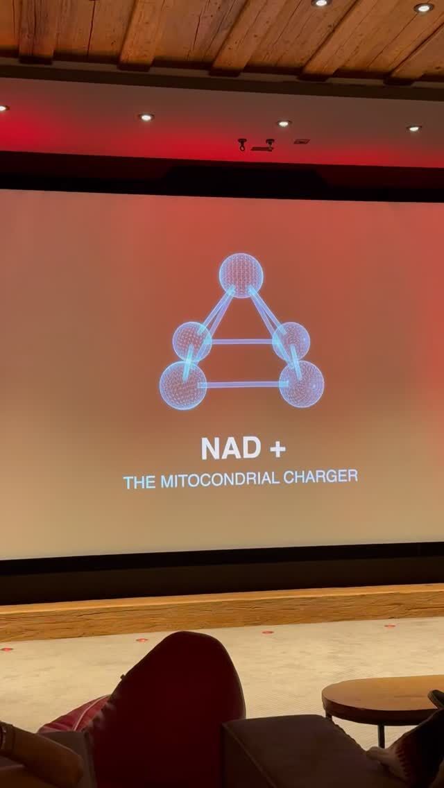 A scientific approach to rejuvenation is not a trend — it’s the new reality.
At the Gstaad conference, Dr. Monya revealed how V-Hacker and NAD+ therapy work in perfect synergy:
◼️ V-Hacker — an innovative skinbooster that activates skin repair at the cellular level.
◼️ NAD+ — the coenzyme of youth, boosting cellular energy, slowing aging, and enhancing regeneration.
Together, they create a comprehensive Anti-Aging strategy, where the skin receives not only visible results, but also deep internal support.
💎 This is not about a cosmetic effect — it’s about prolonging youth from within.

✨ Discover how this approach can work for your skin ✨
📲 Book your consultation:
Geneva: +41 22 732 22 23
WhatsApp: +41 79 931 20 66
Gstaad: +41 79 196 98 69
Montreux: +41 79 908 98 98

#vhackergeneva#médecinesthétiquegenève#skinboostersgeneva#nad+#antiaging
